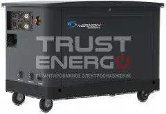 Газовый генератор Mirkon Energy MKG29TF В кожухе Mirkon Energy  trustenergo.ru