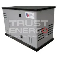 Газовый генератор REG ARCTIC GG10-380S