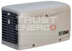 Газовый генератор SDMO RESA 14 TFR В кожухе Kohler  trustenergo.ru