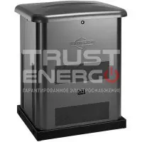 Газовый генератор Briggs & Stratton G60 В кожухе Briggs&Stratton Vanguard I/C 500 cc trustenergo.ru